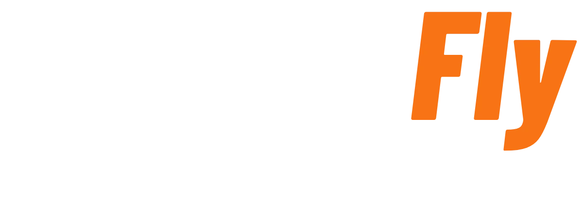 CourierFly — Same day. Done right.